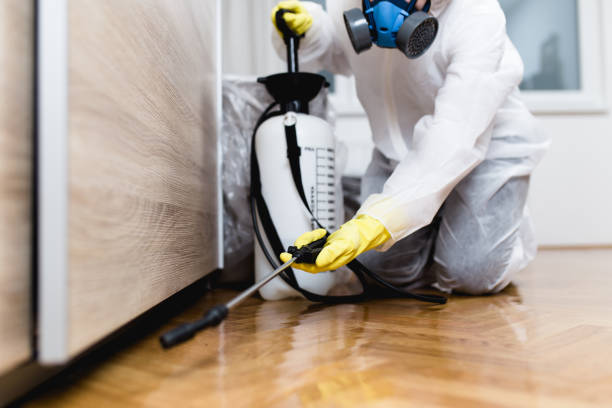 Best Termite Control Services  in Millvale, PA