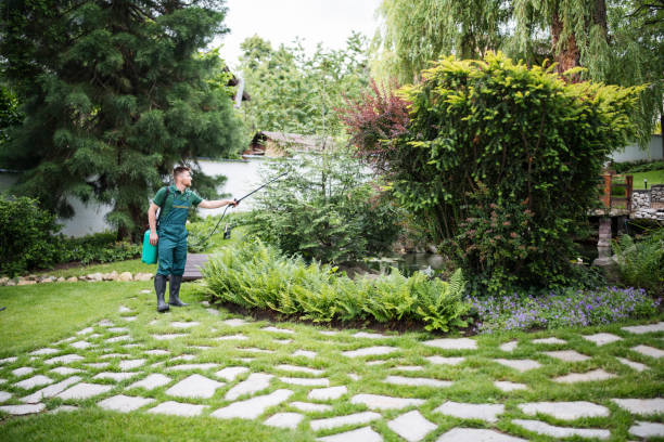 Best Commercial Pest Control Services  in Millvale, PA
