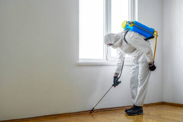 Best Mosquito Control Services  in Millvale, PA