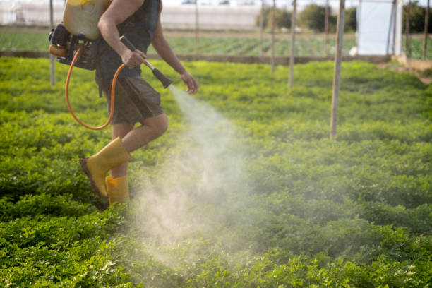 Professional Pest Control in Millvale, PA