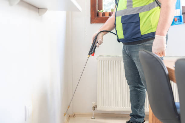 Best Affordable Pest Control Services  in Millvale, PA