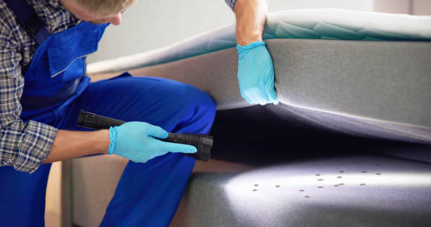 Best Exterminator Services  in Millvale, PA
