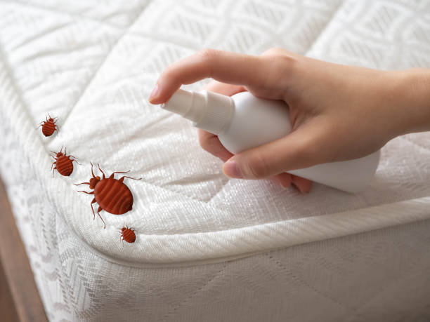 Best Mosquito Control Services  in Millvale, PA