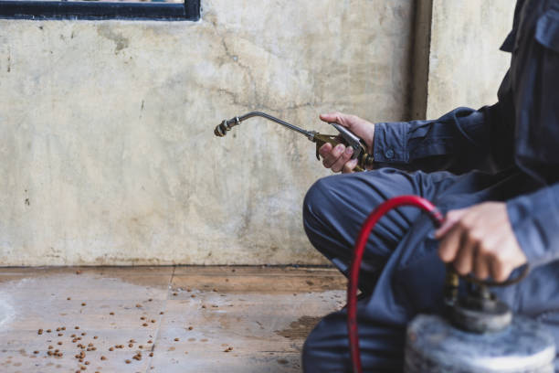 Best Affordable Pest Control Services  in Millvale, PA